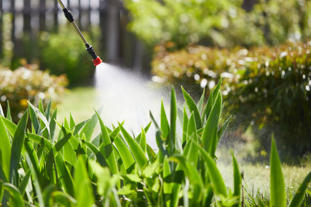 24/7 Emergency Pest Control experts in Wolf Point, MT
