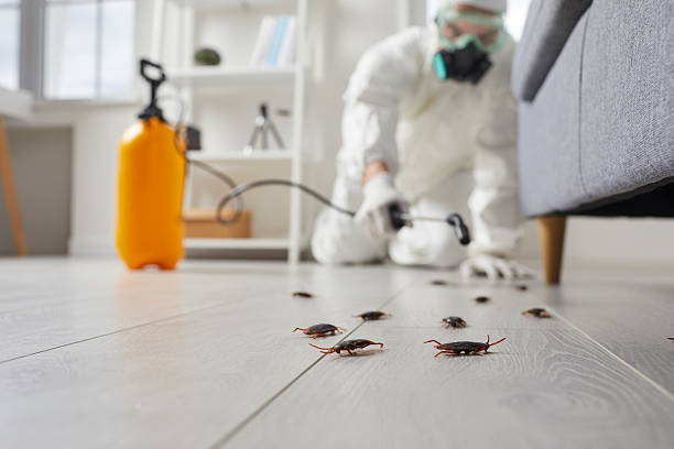 Affordable Pest Control solutions in Wolf Point, MT